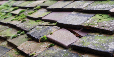 Worcester roof repair costs